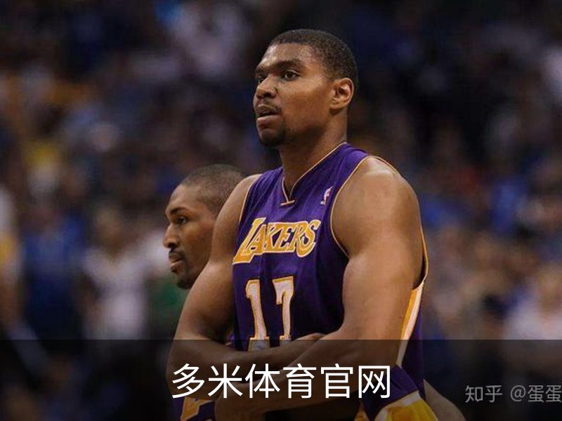 多米体育官网简介